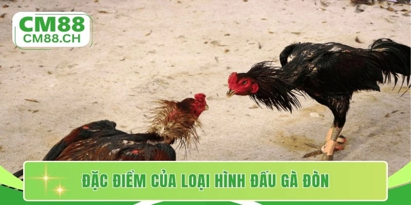 Đặc điểm của loại hình đấu gà đòn
