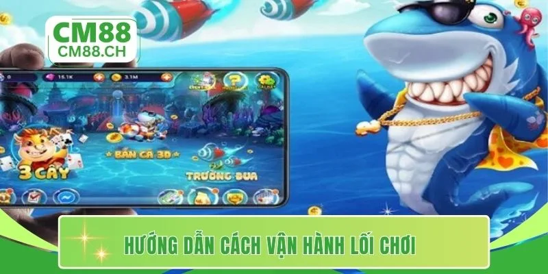 Hướng dẫn cách vận hành lối chơi