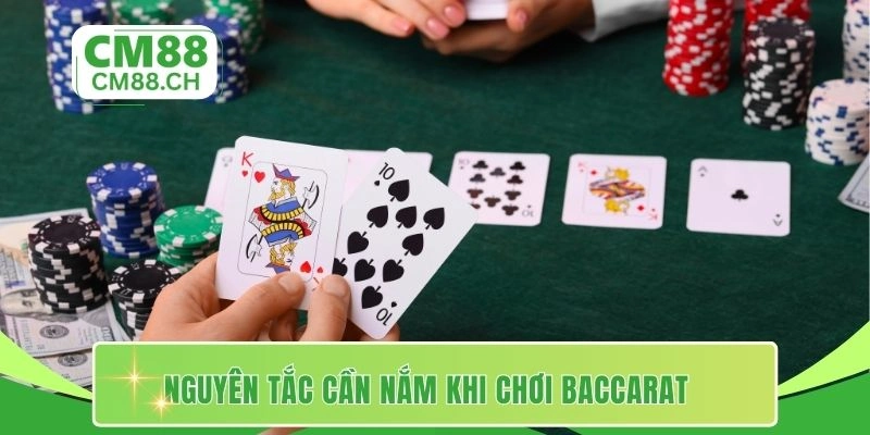 Nguyên tắc cần nắm khi chơi baccarat