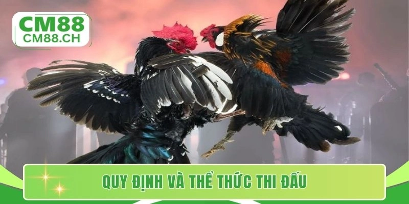 Quy định và thể thức thi đấu
